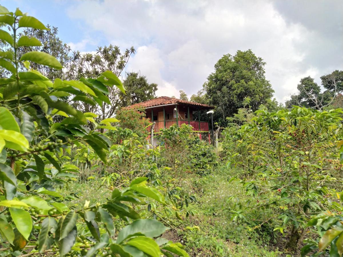 La Acuarela, Posada De La Monita Tribunas Exterior foto